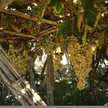 Jnane Tihihit Bed & Breakfast Lalla Takerkoust Bagian luar foto