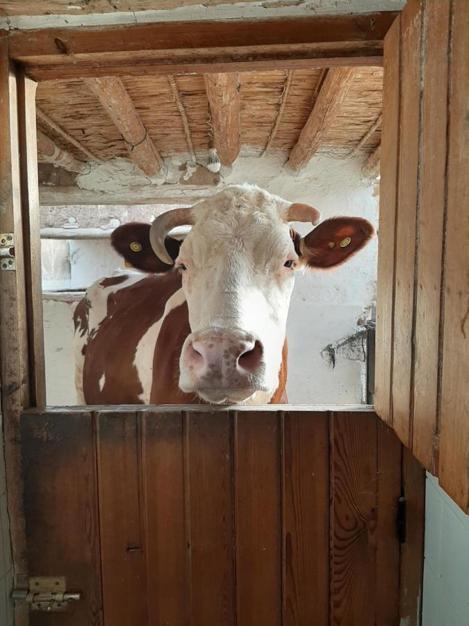 Jnane Tihihit Bed & Breakfast Lalla Takerkoust Bagian luar foto
