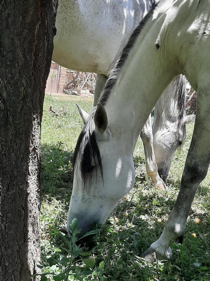 Jnane Tihihit Bed & Breakfast Lalla Takerkoust Bagian luar foto