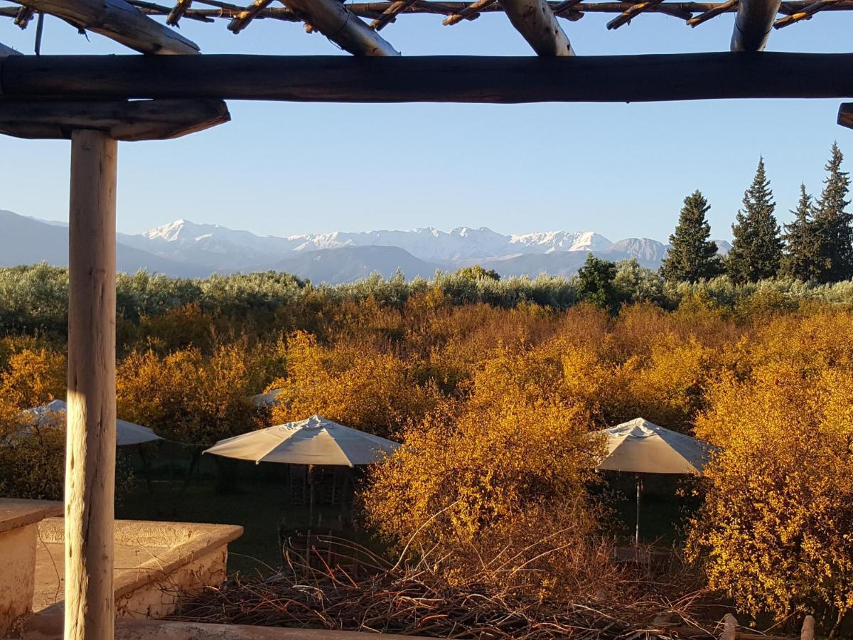 Jnane Tihihit Bed & Breakfast Lalla Takerkoust Bagian luar foto