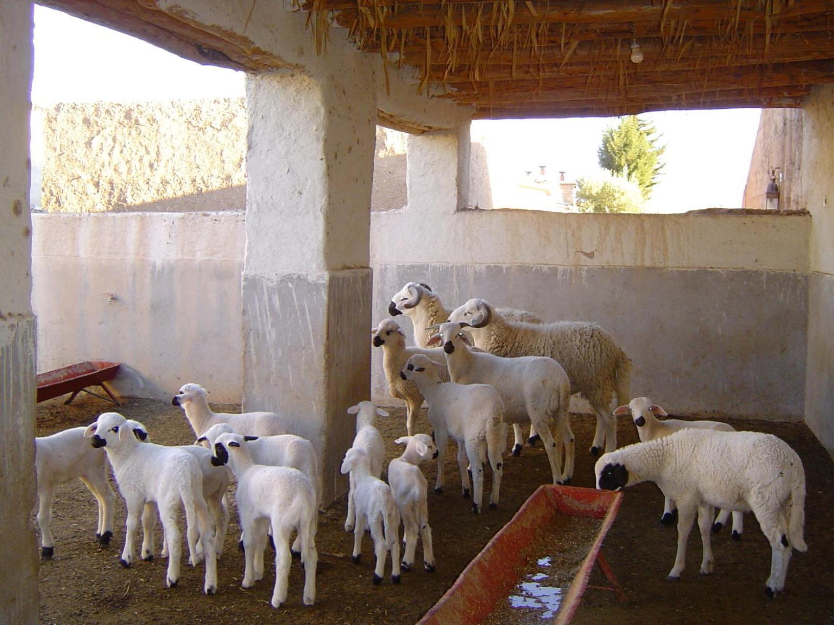 Jnane Tihihit Bed & Breakfast Lalla Takerkoust Bagian luar foto