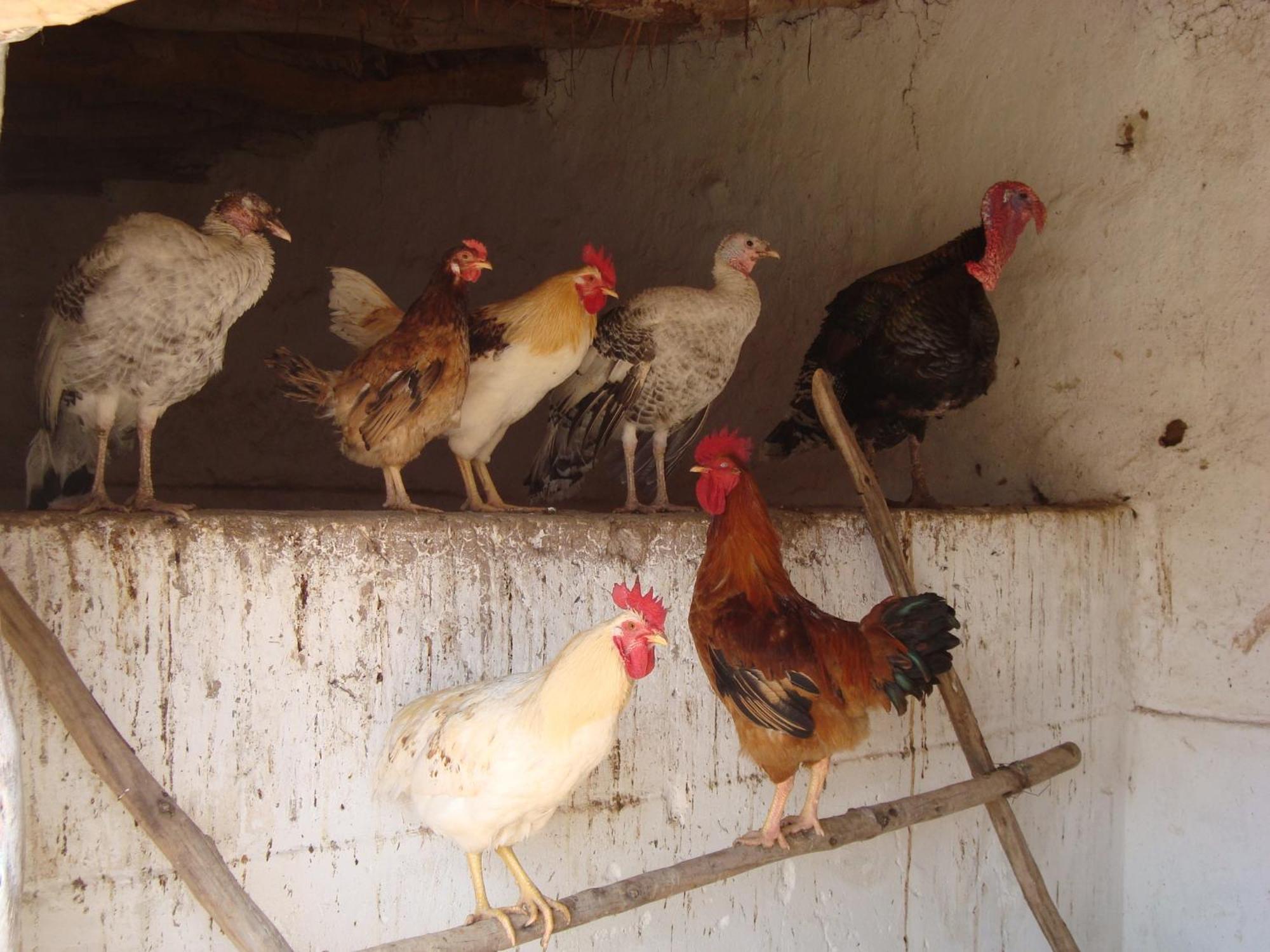 Jnane Tihihit Bed & Breakfast Lalla Takerkoust Bagian luar foto
