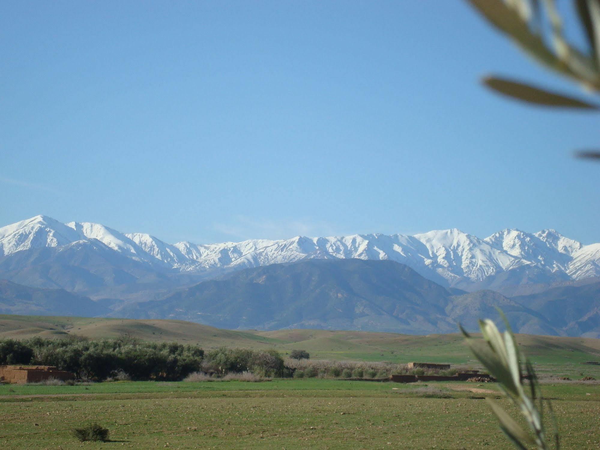 Jnane Tihihit Bed & Breakfast Lalla Takerkoust Bagian luar foto
